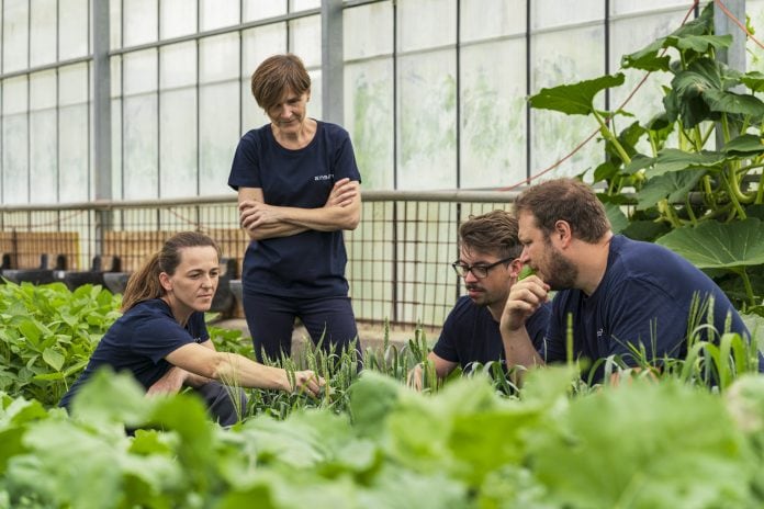 Mikrobiologin und Founderin Birgit Mitter (stehend) kämpft mit ihrem Team gegen Stickstoffdünger.